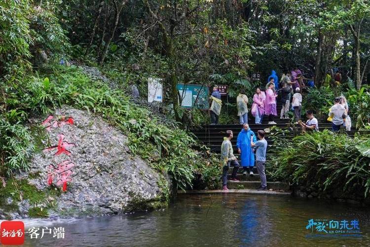 全国外宣媒体记者、海外传播官、外籍网络大V看海南 解锁海南网络科技的精彩新图景